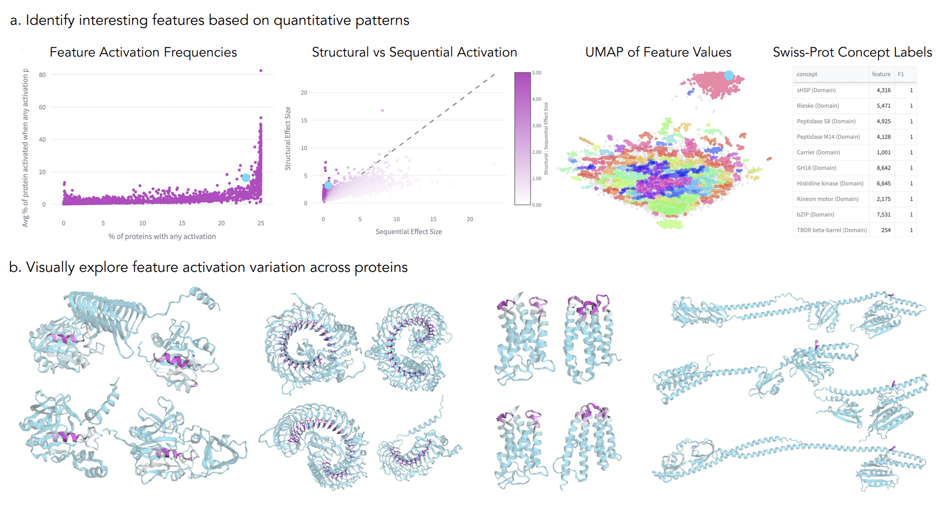 InterPLM: Discovering Interpretable Features in Protein Language Models via Sparse Autoencoders