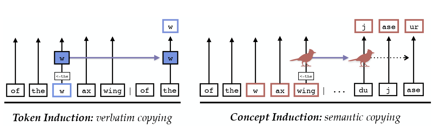The Dual-Route Model of Induction